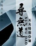 寻无道